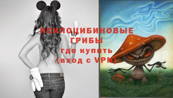 крисы Алексин