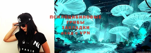 соль ск Новокубанск