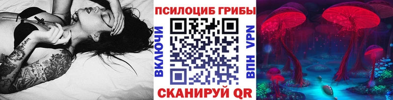 Псилоцибиновые грибы прущие грибы  Ковров 