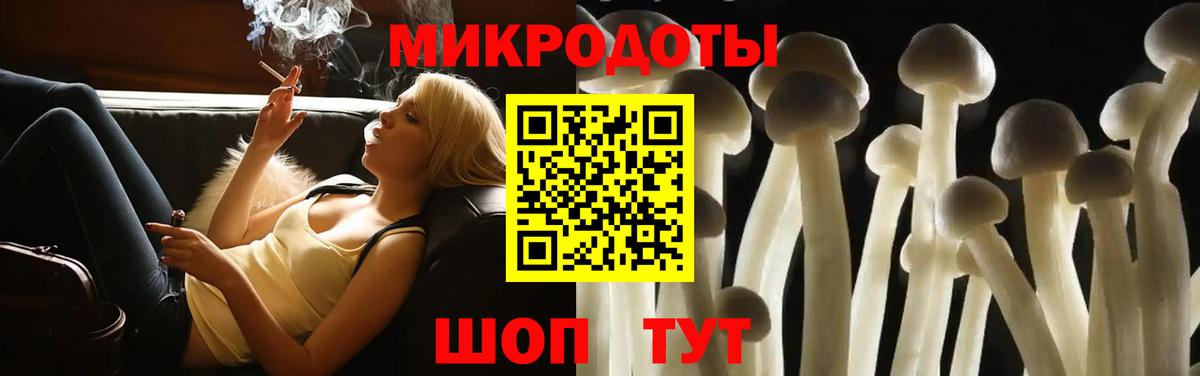 Галлюциногенные грибы Psilocybe  Вход с VPN  Ковров  Псилоцибиновые грибы Cubensis 